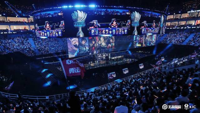 鲜明的特点 鲜明的特点