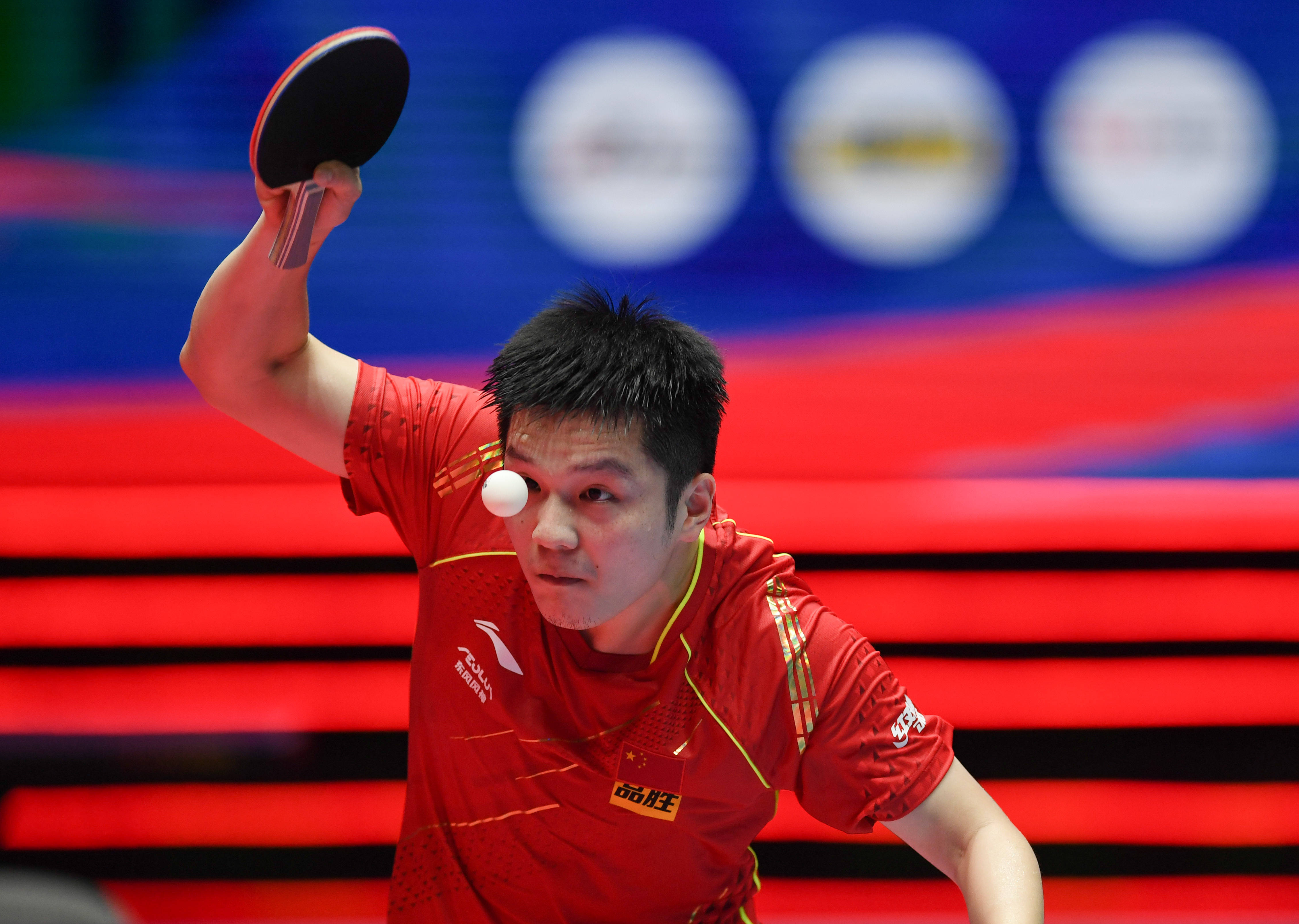 霍的建議 霍的建議